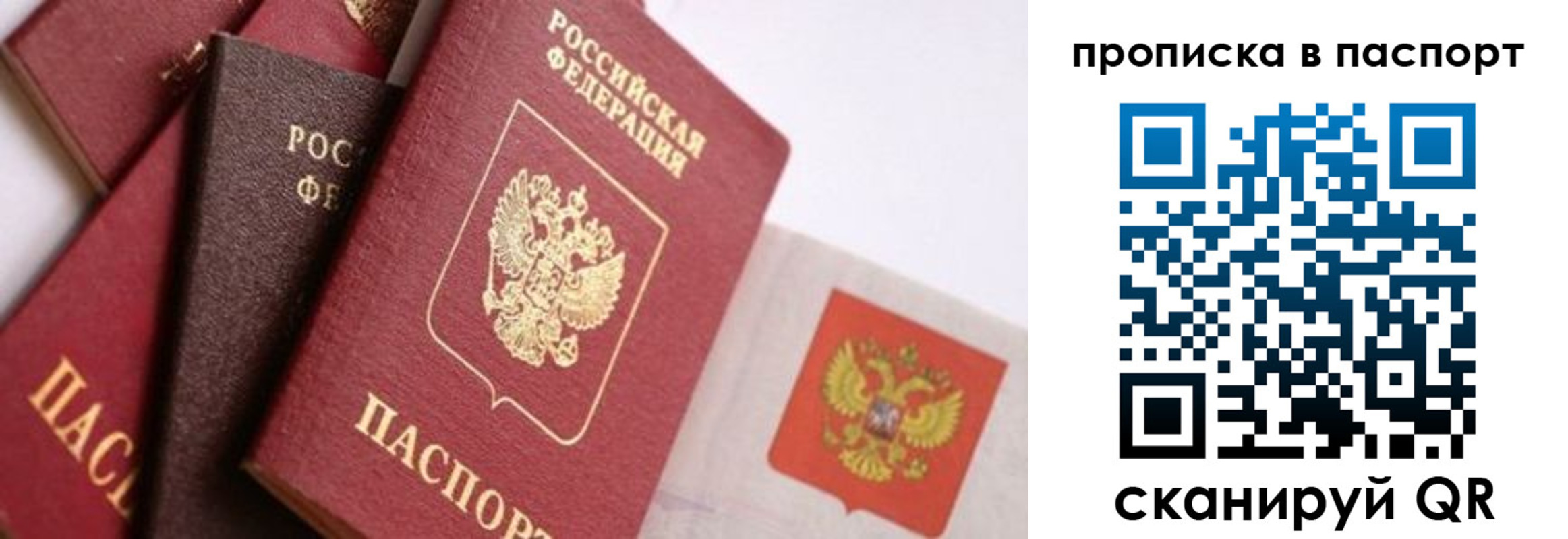 прописка штамп в Электростали